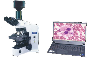 CPHC-2022W高清晰度彩色血细胞图文管理系统